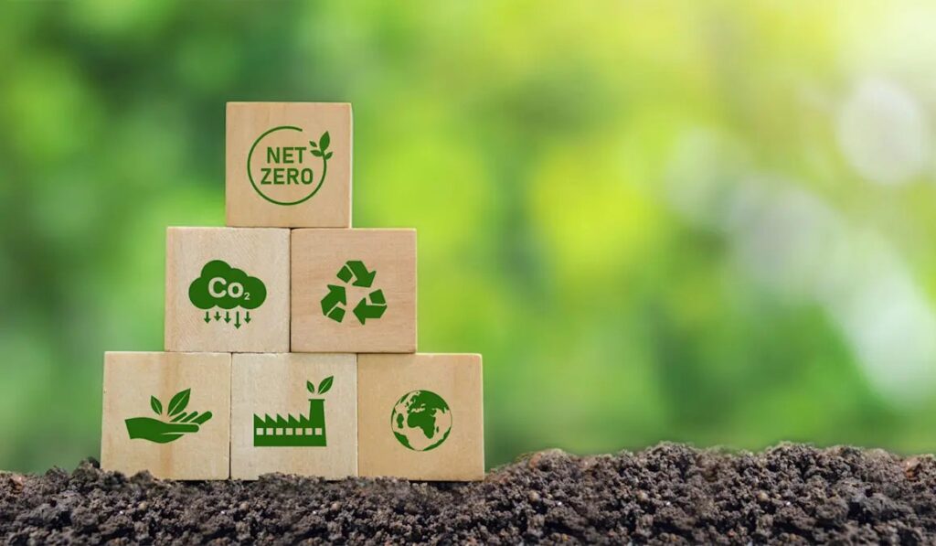 Sustainable Ecologistic packaging solutions shown as wooden blocks stacked to represent net zero carbon footprint goals.